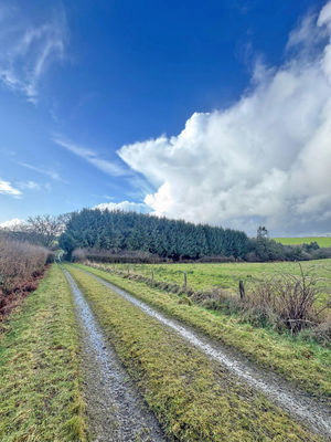 Track- click for photo gallery